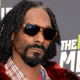 Image for article titled Did Snoop Lion Just Tell Everyone that Miley Cyrus's Relationship Is Fake?